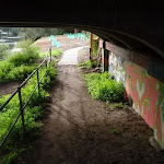 Track under Fullers Bridge (55604)