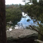 View of Lane Cove River from Upper Track (55790)