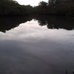 Reflection in Lane Cove River (55868)