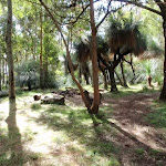 Barraba campsite (61394)