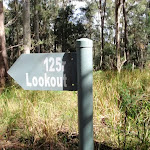 125r lookout track intersection (61643)