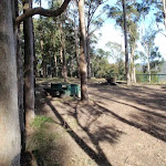 Hunter Lookout Picnic Area (62126)