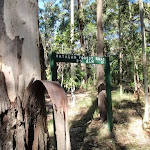 end of Hammonds road (62489)