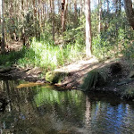 rocky creek (62531)