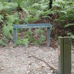 int of the great north walk and comenara track (64298)