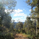 view from path up Mt Warramalong (65483)