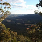 View from Monkey Face Lookout in the Watagans (66069)