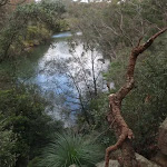Lane Cove river from view point east of Fairyland (67257)