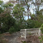 Seat near Taylors Bay Lookout (69757)