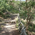 Track east of Taronga Zoo (69844)
