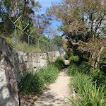 Path below Taronga Zoo (69961)