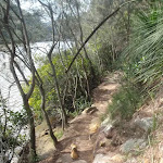 following berowra creek (71389)
