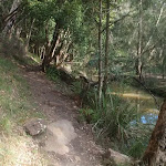 following Calna creek (71626)