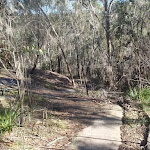 Path down from Berowra (71962)