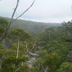 View from Lyrebird Lookout (7208)