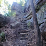 steps up onto the ridge (72343)