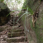 Rock steps (73500)