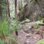 Track past rocky outcrop (73698)