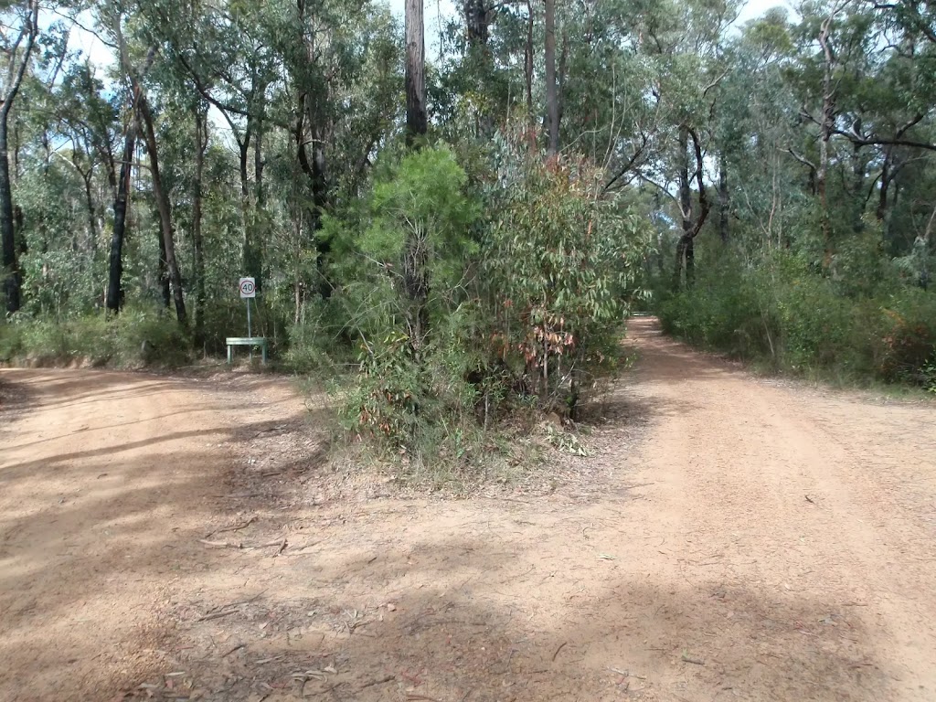 The Oaks Picnic area to Woodford Station walking track