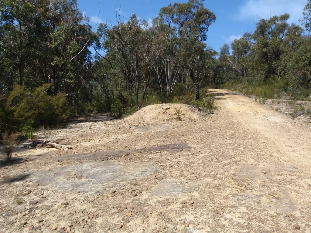 The Oaks Picnic area to Woodford Station walking track