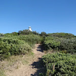 path up to the cape bailey lighthouse (75462)