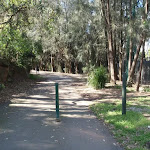 Following the service trail out of Davies Reserve. (77425)