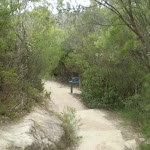 The trail near Princes Rock (7784)