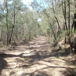 The old road to Bobbin head (78502)