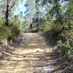 Track below Canoon Rd tennis courts (79222)