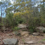 Rocky steps to Pennant Hills (79603)