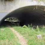 Motorway Tunnel (79771)