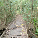 Footbridge over creek (80113)
