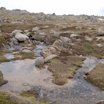 The headwaters of the Snowy River (84961)