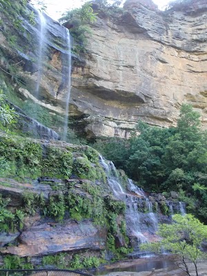 Easier than Giant Steps, but there are still a few steep steps to climb  coming up the Furber Steps – Katoomba, Blue Mountains