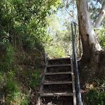 Stairs above Furber Lookout (91876)