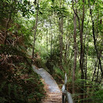 Federal Pass track abot Lila Falls (93001)