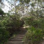 Steps on Gordon Falls Lookout track (93742)