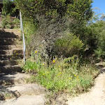 Steps above Olympian Lookout (95320)