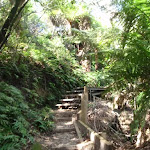 Climbing up to the Gordon Falls park (95479)