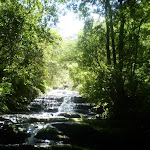 Leura Creek (9617)