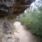Track under rock overhang (9953)